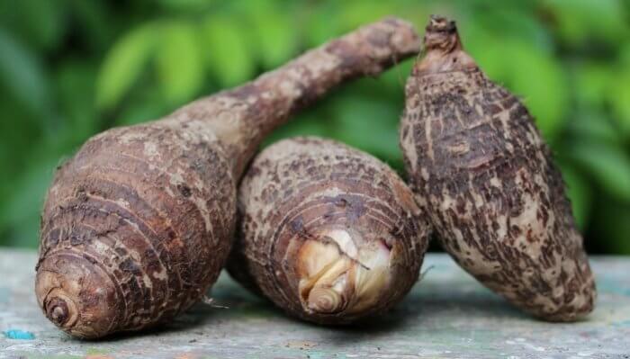 Malanga Taro Propiedades Beneficios Origen Y Mas