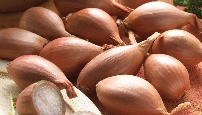 Chalota - Qué es, Propiedades, Beneficios, Usos, Contraindicaciones