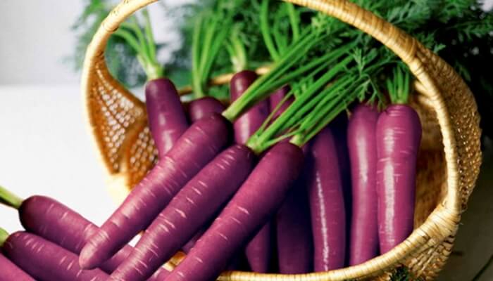 Zanahoria Morada - Origen, Propiedades, Recetas...y Más