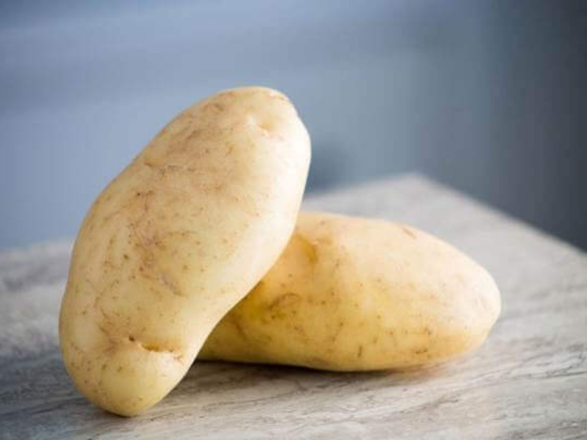 Almidón de patata cetosis
